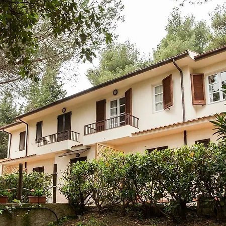 Le Mimose 3*