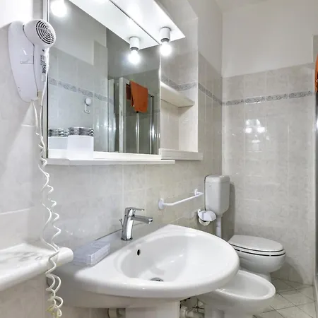 Le Mimose 普罗基奥