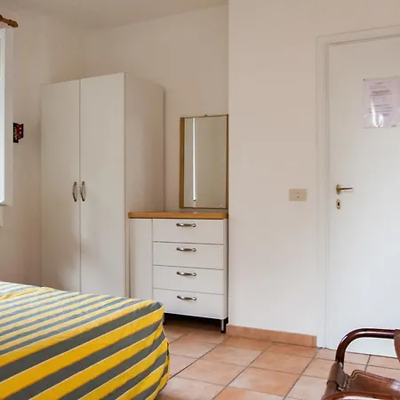 Le Mimose 普罗基奥