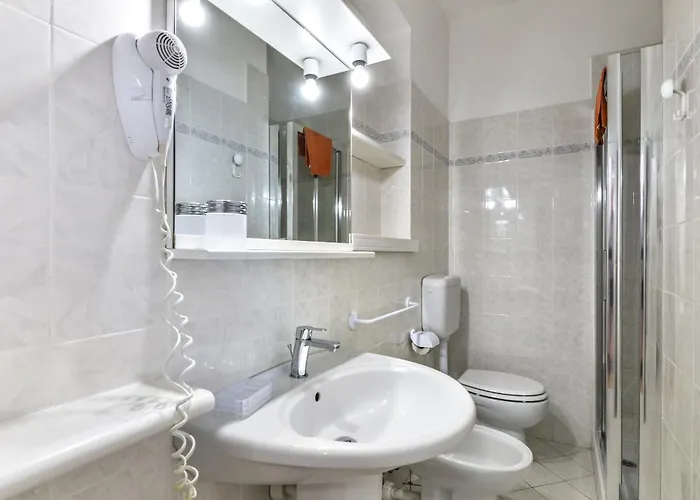 Le Mimose 普罗基奥