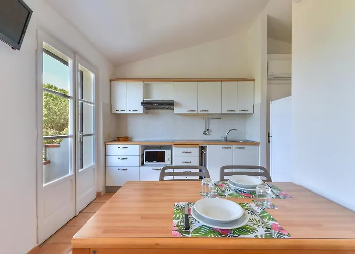 Le Mimose 普罗基奥